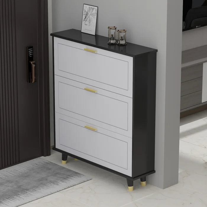 Elegant shoe shop cabinet