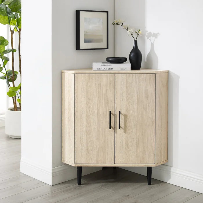 Accent cabinet outlet 2 door