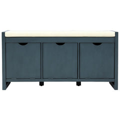 1 - Antique Navy 10 Pair Shoe Storage Cabinet Perfect Inconspicuous Storage Option To Store your Personal