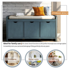 1 - Antique Navy 10 Pair Shoe Storage Cabinet Perfect Inconspicuous Storage Option To Store your Personal
