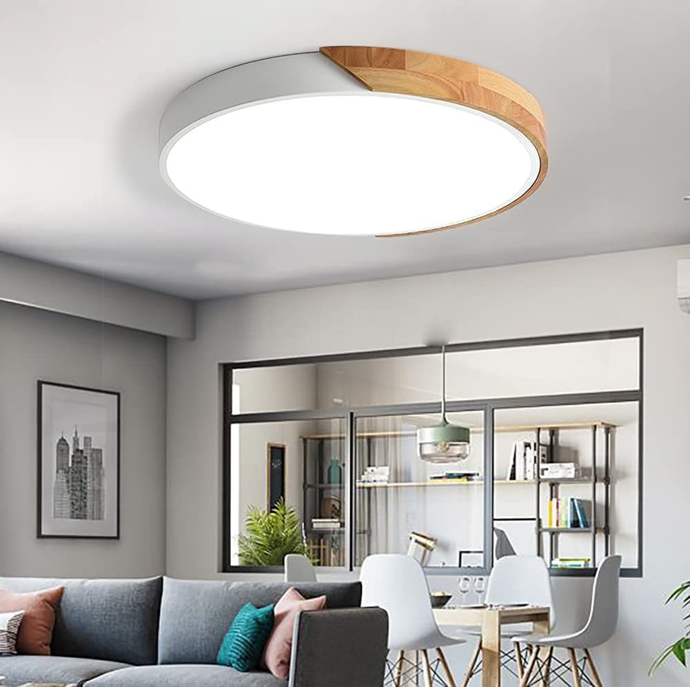 Vikaey Modern Led Ceiling Light