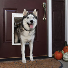 Plastic Pet Door for Dog and Cat 3-Flap Pet Door Keeps Extreme Hot And Cold Weather Out Of Your Home