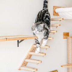 Cat Climbing Shelf Wall Mounted, Four Step Cat Stairway with Jute Scratching for Cats Perch Platform Supplies