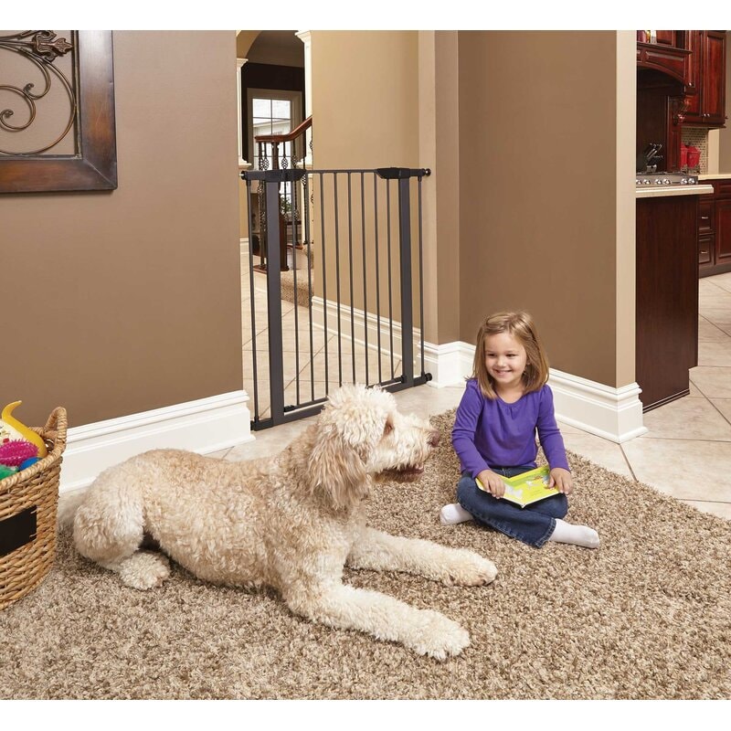 Steel Pressure Mounted Pet Gate Keep Your Pet Safe And Sound with This Freestanding Pet Gate Place It At The Entrance of Your Living Room