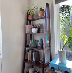 Solid Wood Ladder Bookcase 72'' H x 24.75'' W Keep Your Favorite Potted Plants Front and Center Solid Pine Wood
