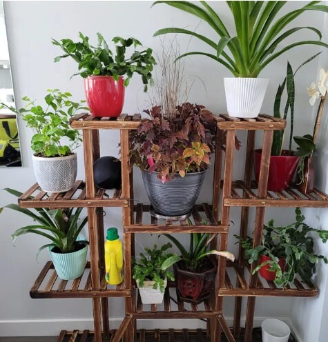 Multi-tier Plant Stand Open Shelves Provide Enough Room for the Natural Growth of Your Potted Plants 9 Tiers 17 Potted Plants