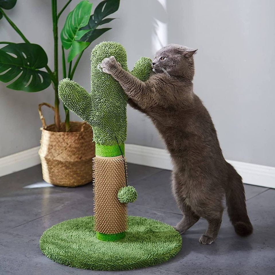 Cat Catcus Scratching Post Tree with Play Ball and Rubber Scratcher Green Protect Your Furnitur