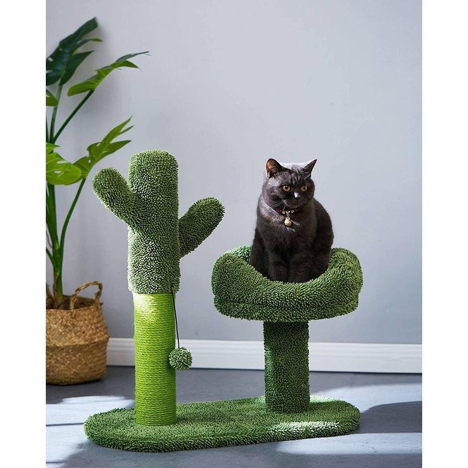 Catcus Cat Scratching Post Tree with Play Ball and Bed Green-Cactus Cat Scratcher Protect Your