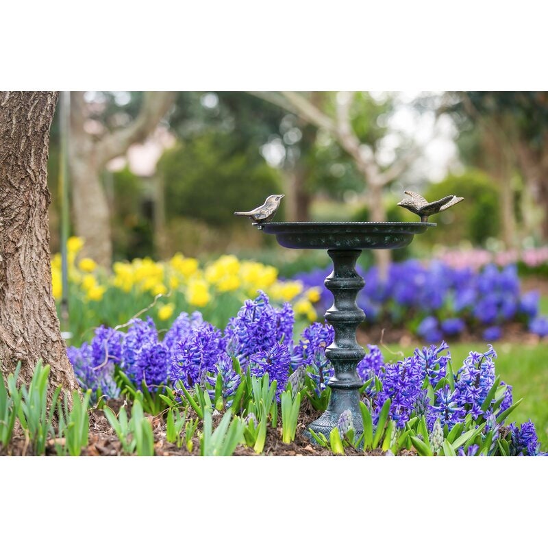 Birdbath Give your Neighborhood Birds a Home Away from Home with Water to Support your Feathered Friends