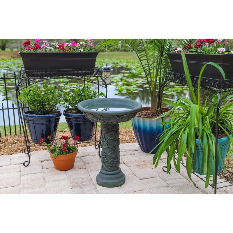 Birdbath will Bring a Nice Water Feature to Your Yard Pattern Across the Bottom, Holding Water in a Simple Yet Elegant Design