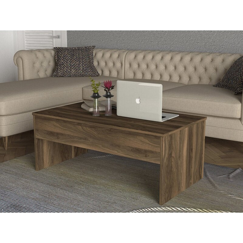 Brown Adira Lift Top Sled Coffee Table with Storage