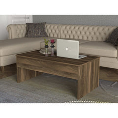 Brown Adira Lift Top Sled Coffee Table with Storage