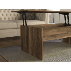 Brown Adira Lift Top Sled Coffee Table with Storage