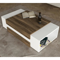 Brown/White Aksha Floor Shelf Coffee Table with Storage