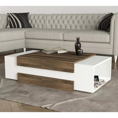 Brown/White Aksha Floor Shelf Coffee Table with Storage