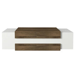 Brown/White Aksha Floor Shelf Coffee Table with Storage