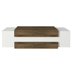 Brown/White Aksha Floor Shelf Coffee Table with Storage