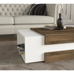 Brown/White Aksha Floor Shelf Coffee Table with Storage