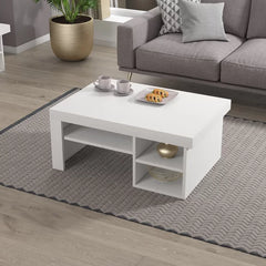 Alaaddin Floor Shelf Coffee Table with Storage Perfect Organize
