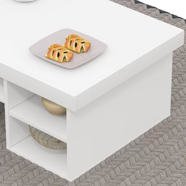 Alaaddin Floor Shelf Coffee Table with Storage Perfect Organize