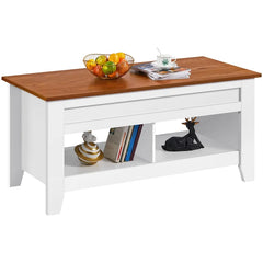 Aspa Lift Top Solid Coffee Table with Storage Suitable and Comfortable Height