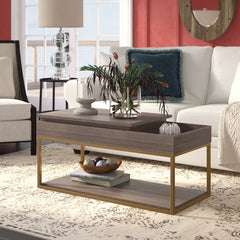 Coffee Table with Tray Top and Storage Open Shelves for Additional Storage and Display