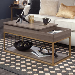 Coffee Table with Tray Top and Storage Open Shelves for Additional Storage and Display