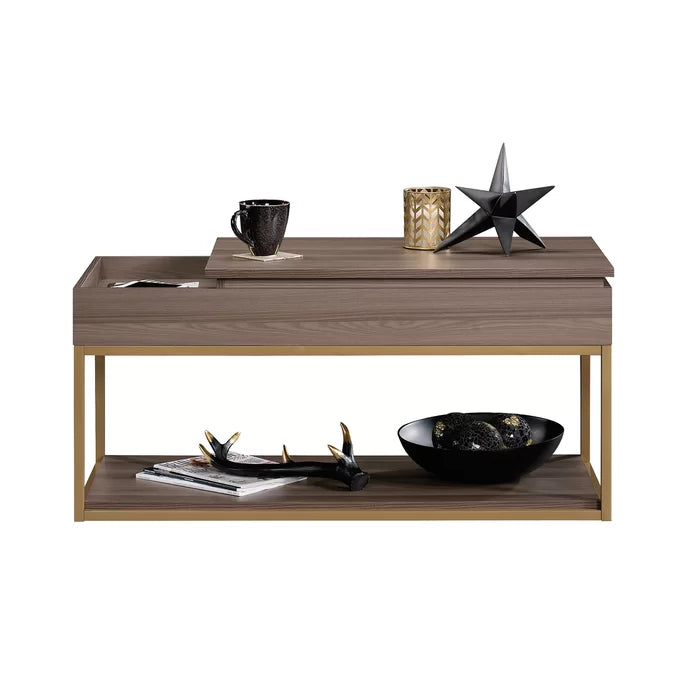 Coffee Table with Tray Top and Storage Open Shelves for Additional Storage and Display