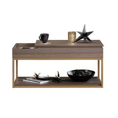 Coffee Table with Tray Top and Storage Open Shelves for Additional Storage and Display