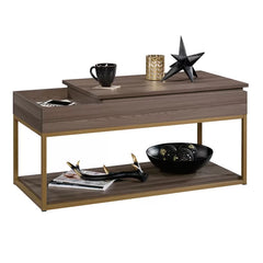 Coffee Table with Tray Top and Storage Open Shelves for Additional Storage and Display