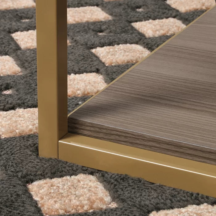 Coffee Table with Tray Top and Storage Open Shelves for Additional Storage and Display