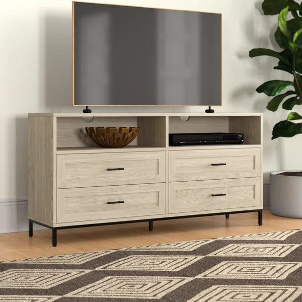 Braylee TV Stand for TVs up to 60" Adds Storage and Style to your Living Room