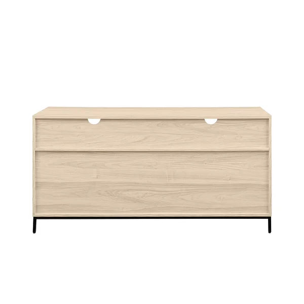 Braylee TV Stand for TVs up to 60" Adds Storage and Style to your Living Room