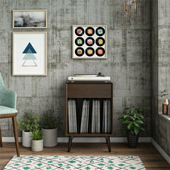 Brittany Turntable Audio Rack Trendy Mid-century Modern Look