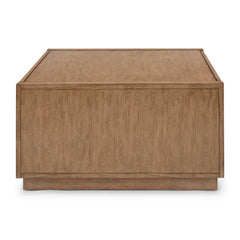 Bucher Block modern accent Coffee Table with Storage Provide Storage Space