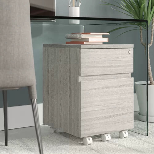 Carreiro 15.75'' Wide 2 Drawer Mobile Vertical Filing Cabinet Indoor Design