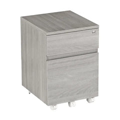 Carreiro 15.75'' Wide 2 Drawer Mobile Vertical Filing Cabinet Indoor Design
