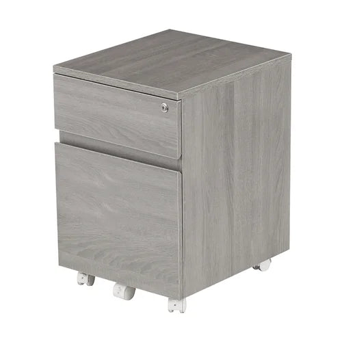 Carreiro 15.75'' Wide 2 Drawer Mobile Vertical Filing Cabinet Indoor Design