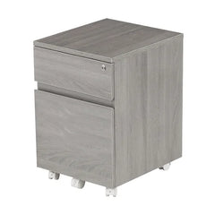 Carreiro 15.75'' Wide 2 Drawer Mobile Vertical Filing Cabinet Indoor Design