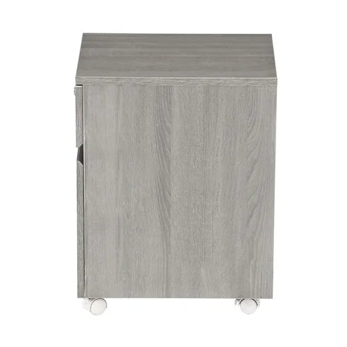 Carreiro 15.75'' Wide 2 Drawer Mobile Vertical Filing Cabinet Indoor Design