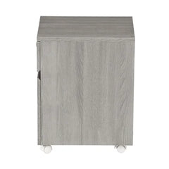 Carreiro 15.75'' Wide 2 Drawer Mobile Vertical Filing Cabinet Indoor Design