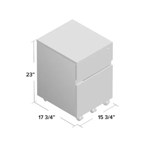 Carreiro 15.75'' Wide 2 Drawer Mobile Vertical Filing Cabinet Indoor Design