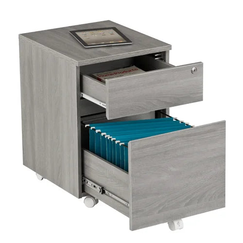 Carreiro 15.75'' Wide 2 Drawer Mobile Vertical Filing Cabinet Indoor Design