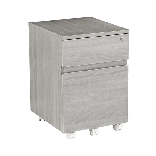 Carreiro 15.75'' Wide 2 Drawer Mobile Vertical Filing Cabinet Indoor Design