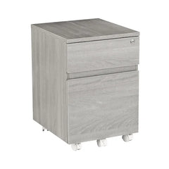 Carreiro 15.75'' Wide 2 Drawer Mobile Vertical Filing Cabinet Indoor Design