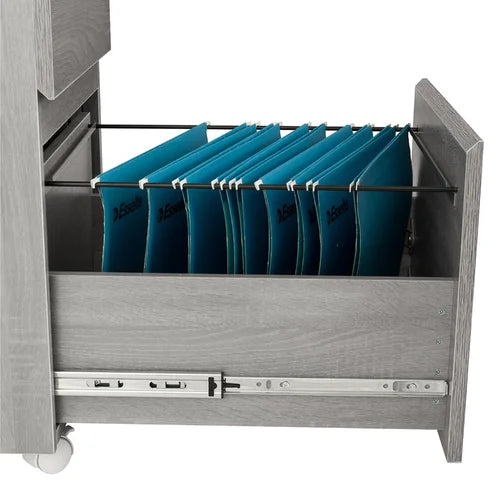 Carreiro 15.75'' Wide 2 Drawer Mobile Vertical Filing Cabinet Indoor Design
