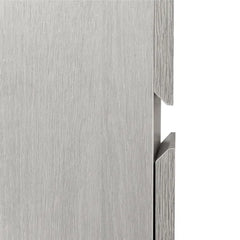 Carreiro 15.75'' Wide 2 Drawer Mobile Vertical Filing Cabinet Indoor Design