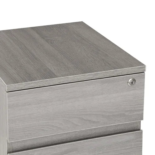 Carreiro 15.75'' Wide 2 Drawer Mobile Vertical Filing Cabinet Indoor Design