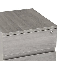 Carreiro 15.75'' Wide 2 Drawer Mobile Vertical Filing Cabinet Indoor Design