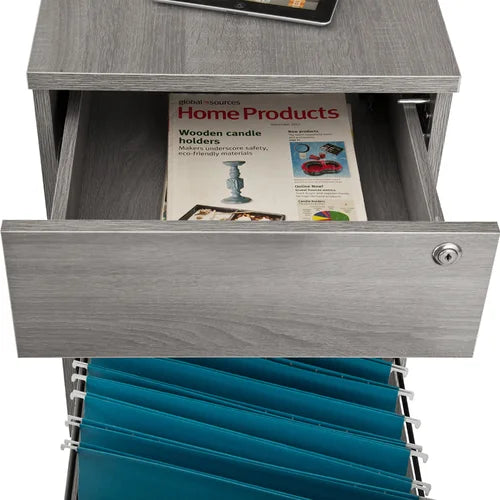 Carreiro 15.75'' Wide 2 Drawer Mobile Vertical Filing Cabinet Indoor Design